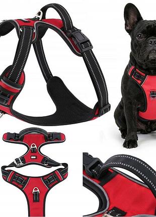 Шлейки для собаки huggy doggy без тиску червоний m для бульдога французького бігля