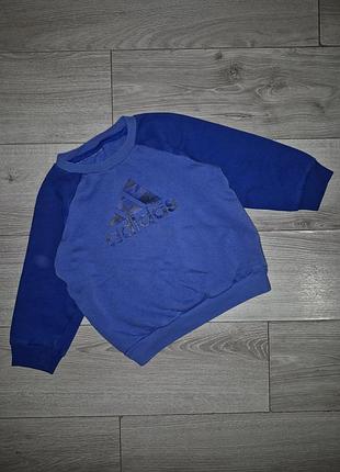 Детский свитшот, реглан adidas синий 92-98