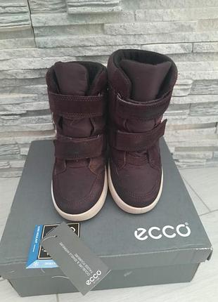 Черевики ecco 30 р