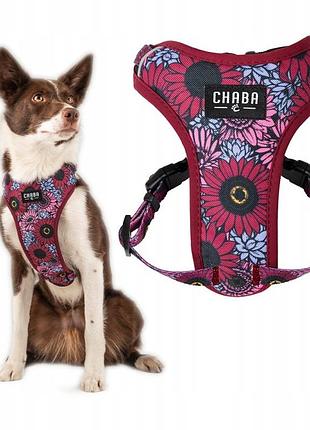 Шлейки безтискові прогулянкові guard comfort для собаки chaba lakota розмір l