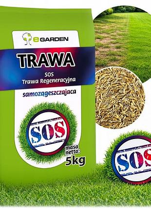 Насіння трави trawa renowacyjna regeneracyjna sos для підсіву 5 кг 200 м²