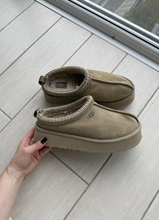 Жіночі уггі ugg tazz бежеві молочні, розмір 39, 38 оригінал чоботи уги угги