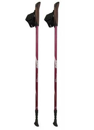 Палки для скандинавской ходьбы tramp fitness trr-011