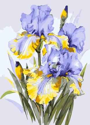 Картина за номерами "букет ірисів" lw31600, 40х50 см