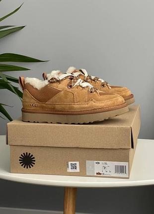 Жіночі бежеві черевики ugg lo lowmel sneaker chestnut fur х угг бутс 38