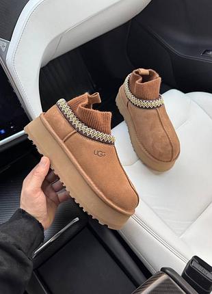Женские бежевые угги ugg tasman tazz platform sock chestnut beige х угг тасмен 39