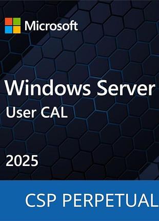 Програмний продукт microsoft windows server 2025 - 1 user cal