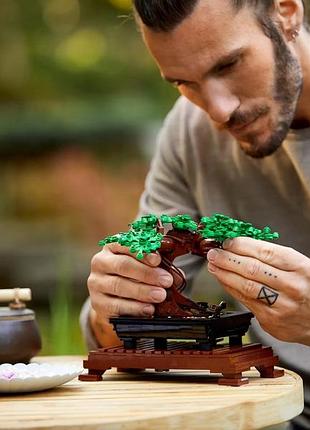 Конструктор lego creator expert дерево бонсай 5