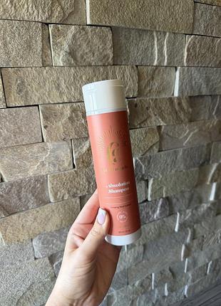 Шампунь для кучерявого волосся curly angels absolution deep cleansing shampoo 300 мл
