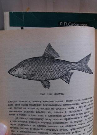 Книги все о рыбалке 4