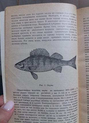Книги все о рыбалке 2