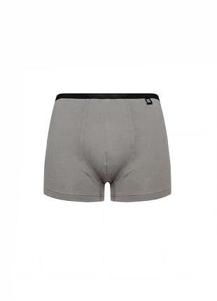 Шорты мужские mister comfort серый 3xl