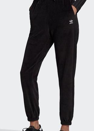 Велюрові спортивні джогери adidas