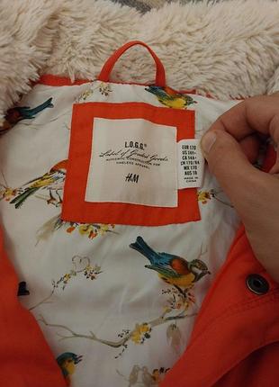 Теплая плотная жилетка h&amp;m 6