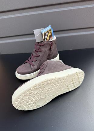 Хайтопи черевики ecco зимові gore tex 4