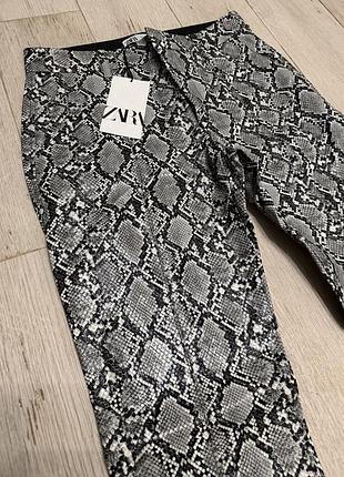 Штани жіночі zara в зміїний принт, шкірзам