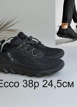 Кросівки ecco 2
