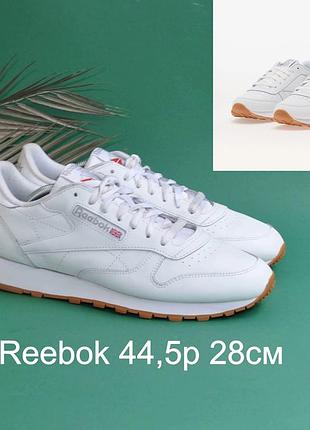 Шкіряні кросівки reebok оригінал
