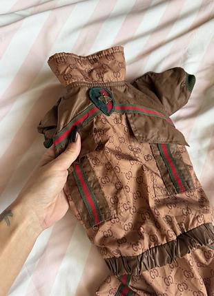Одяг для домашніх тварин gucci комбінезон