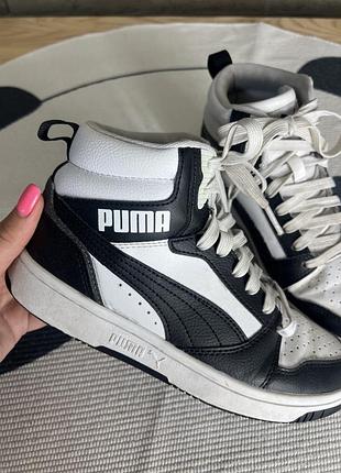 Хайтопи puma 3