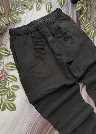 Штани essentials fear of god м carhartt style