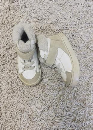 Черевики унісекс zara 2
