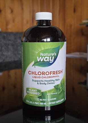 Біологічно активні речовини nature's way chlorofresh рідкий хлорофіл м'ятний 480 мл