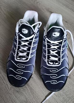 Кросівки чоловічі nike air max plus сині, 40 розмір