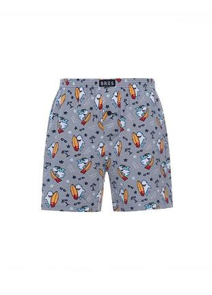 Боксеры мужские mister fancy серый 4xl