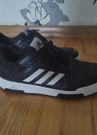 Кросівки чоловічі adidas tensaur