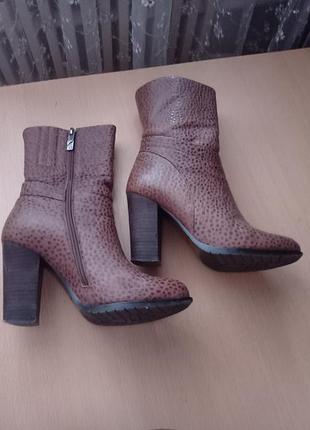 Ботинки кожа утепленные wolford
