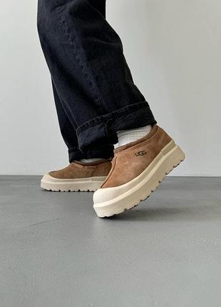 Угги ugg tasman hybrid chestnut/beige / smb+ 🔗 2