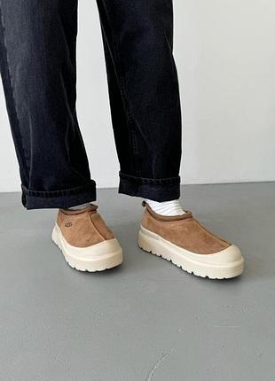 Уггі ugg tasman hybrid chestnut/beige / smb+ 🔗 3