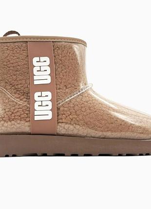 Угги ugg classic clear mini chocolate brown / smb+ 🔗
