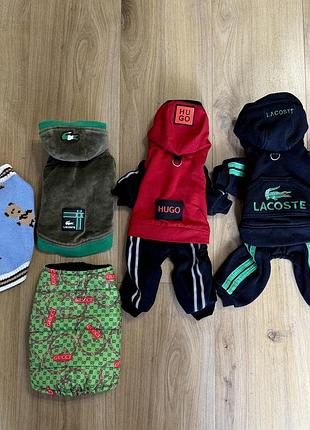 Одяг для домашніх тварин lacoste, hugo, брендовий гардероб для хлопчика чихуахуа / дрібної породи
