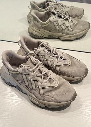 Кросівки adidas