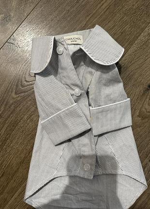 Піжама для песика chou chou