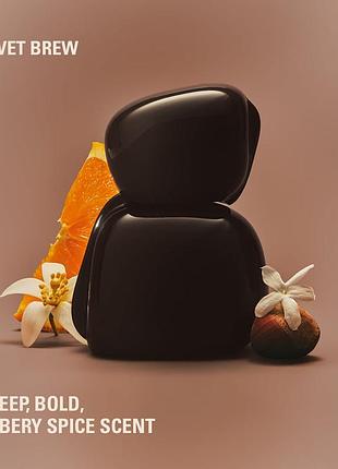 🖤оригінал новинка 2026 року kylie cosmetics mood stones velvet brew парфумована вода для жінок пробник