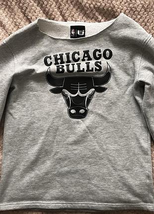 Жіночий світшот chicago bulls сірий з принтом
