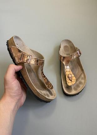 Birkenstock gizeh  38(24.5cm) arizona boston