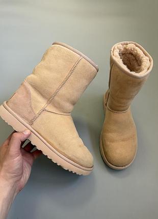 Сапоги ugg classic short ii 39(25см) classic mini 2 tasman dipper