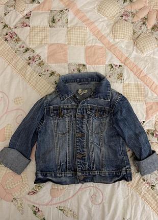 Куртка для хлопчика h&m джинсова синя 116 см