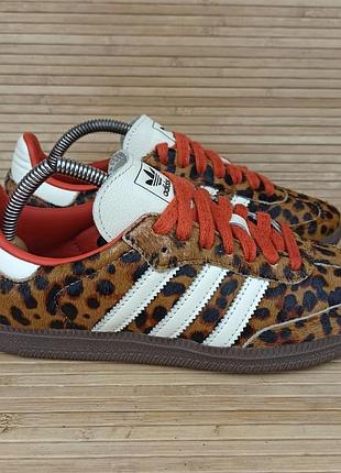 Кроссовки adidas samba og preloved red leopard размер 36,5 (23 см.)
