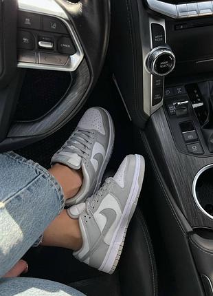 Nike sb dunk low grey premium 4