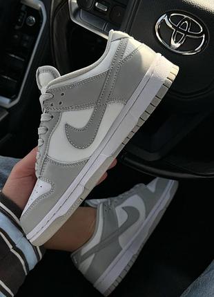 Nike sb dunk low grey premium 5