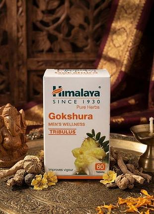 Біологічно активні речовини himalaya gokshura (гокшура / tribulus) 60 таб — натуральний бустер тестостерону, витривалості та чоловічої сили