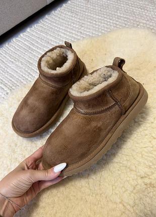 Черевики жіночі ugg classic ultra mini на овчині, коричневі