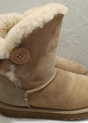 Уггі жіночі ugg