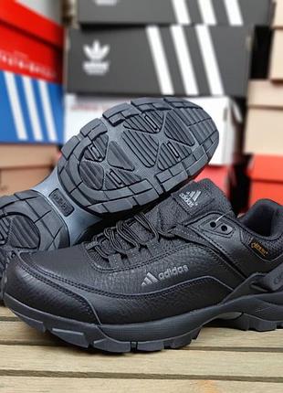 Adidas terrex gore-tex