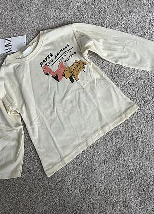 Реглан zara 2